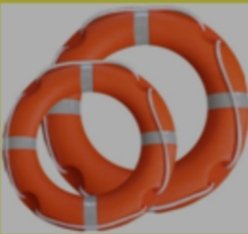 Life Buoys